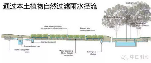 植物自然過(guò)濾雨水徑流