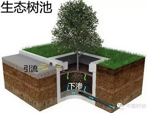 生態(tài)樹(shù)池