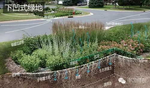 下凹式綠地