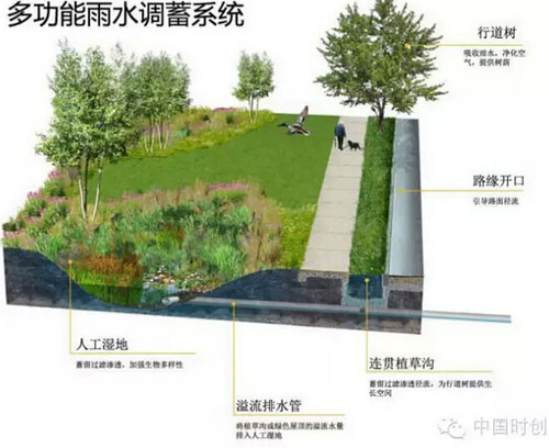 多功能雨水調蓄系統