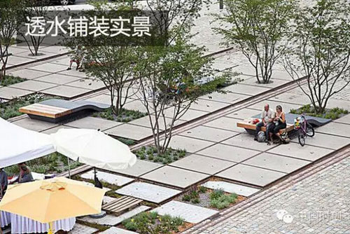 透水鋪裝實(shí)景