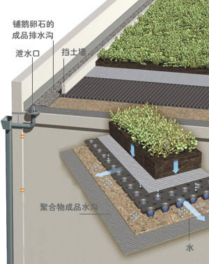 屋頂排水溝