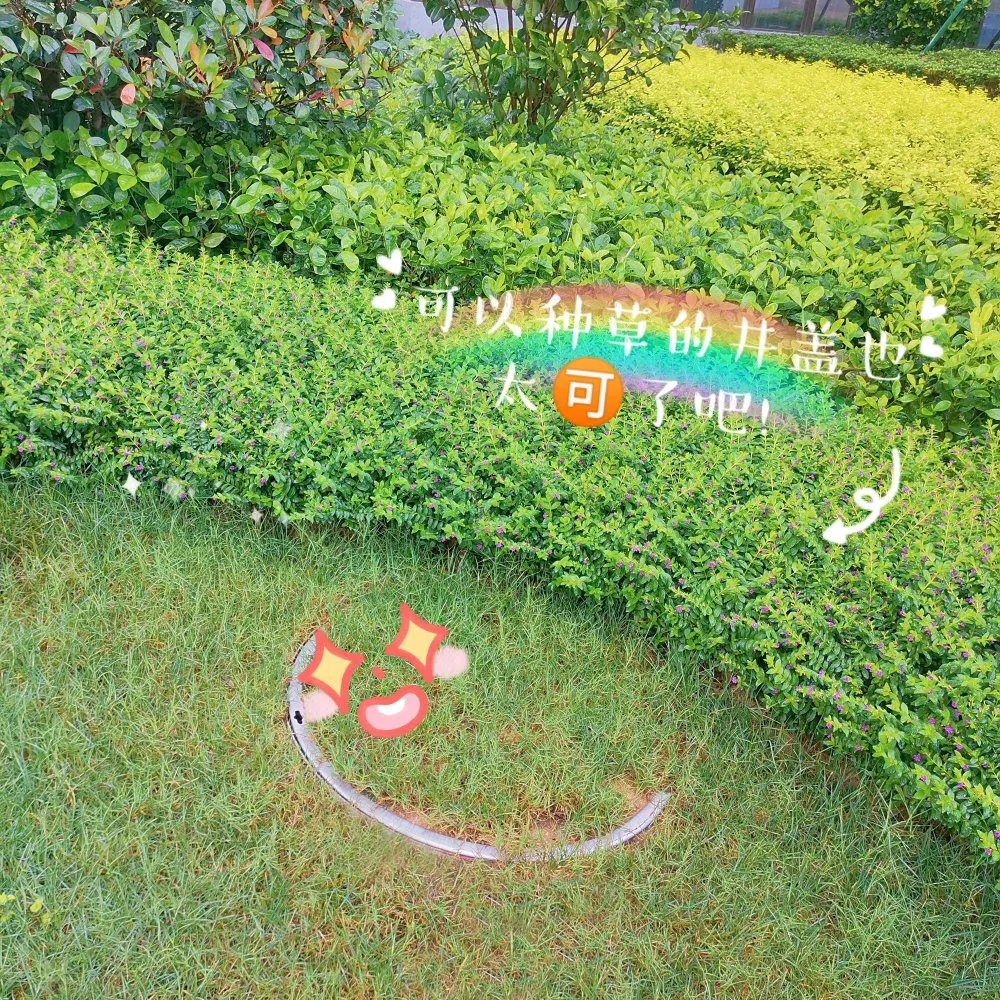 不銹鋼植草井蓋